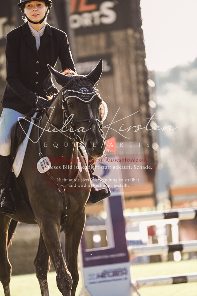 DSC_4586 | Pferde- und Turnierfotografie in Westsachsen. Pferdeportraits, Auftragszeichnungen und intuitive Kunst.