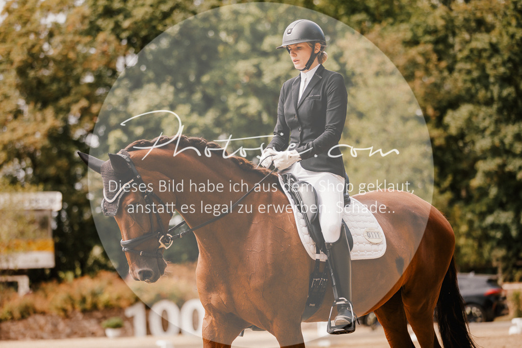 3I6A6211 | Stimmungsvolle Portraits und Reitsportfotografie im Ruhrgebiet und im Münsterland.

Pferdefotografie, Hundefotografie, Tierfotografie, Reportagen, Portraits von Tier und Mensch, Turnierfotografie in Bochum, Recklinghausen, Marl, Haltern am See, Dülmen.. - Realisiert mit Pictrs.com