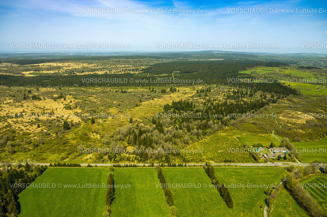 Monschau240502340HohesVenn | Luftbild, Hohes Venn Naturpark Eifel, Hochfläche bei Mützenich Landschaftsschutzgebiet, Vennhochfläche Wiesen und Felder Moorheidekomplex, Grenzgebiet Deutschland-Belgien, Mützenich, Monschau, Nordrhein-Westfalen, Deutschland
