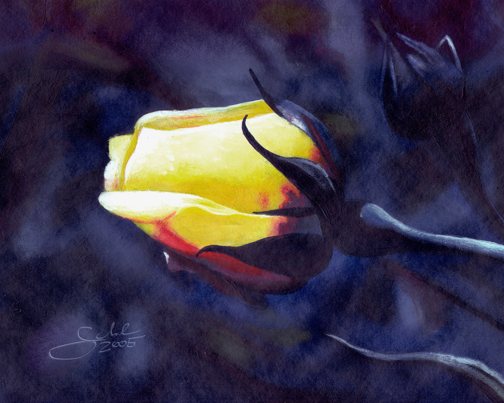 DD_Bur_200927_rose | Shop zum Kauf von Kunstdrucken: Akt, Portrait, Stillleben und Landschaften. Phantastische Arbeiten. Composing, Vektorgrafik, Malerei. Digital und klassisch. Virtualized Bodypainting - Realisiert mit Pictrs.com