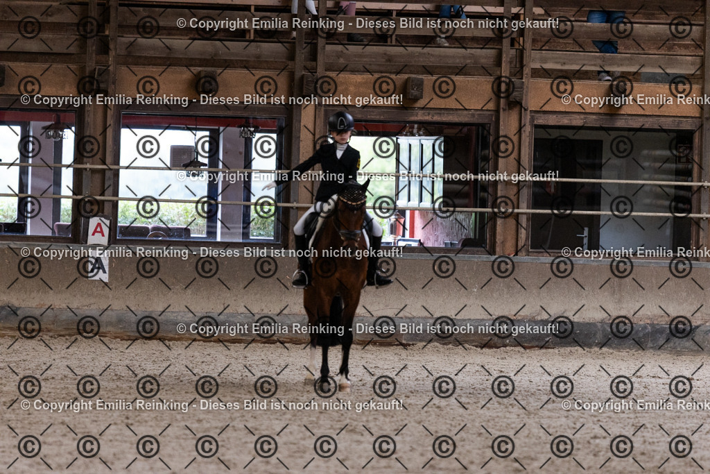 CL5A5030 | Emilia Reinking Fotografie - Realisiert mit Pictrs.com