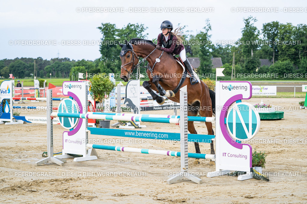 DSC03477 | Pferdegrafie