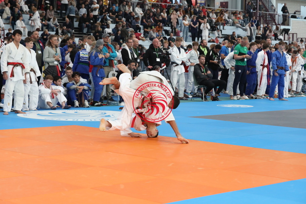 1J7A2129 | Fotos vom Adler Cup - Pictures from Adler Cup

Hier findet Ihr alle Eindrücke und großen Momente der Adler Cup Wochenenden. Here you will find all impressions and great moments of the Adler Cup weekends. - Realisiert mit Pictrs.com