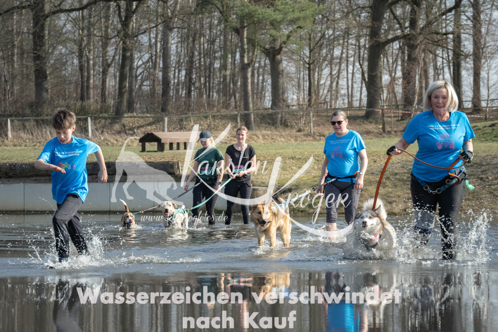 1341_ZZ97733 | kk-dogfotos