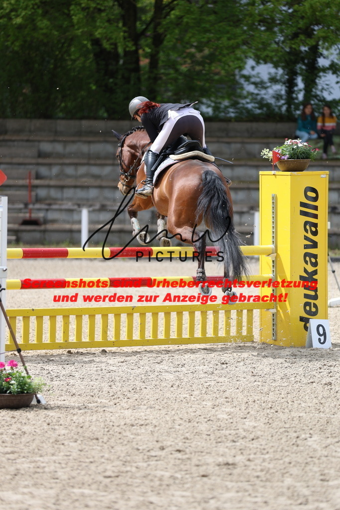 A40A1875 | lmwpictures - Realisiert mit Pictrs.com