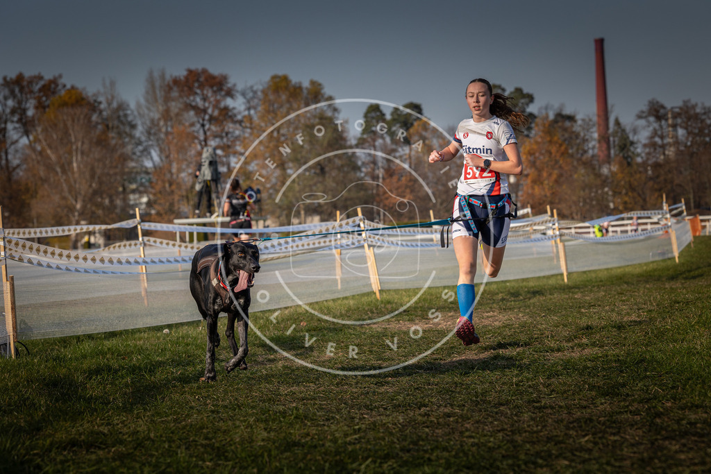 CaniXpix_0L8A9783 | Hundefotografie, Tierfotograf, Pfotenfotografie, Fotoshooting Hund, Hunde Portrait, Hundesport, Hundeportraits, Heideshooting, Hunde, Sportfotograf, Hundefotograf, Turnierhundsport, THS,  - Realisiert mit Pictrs.com
