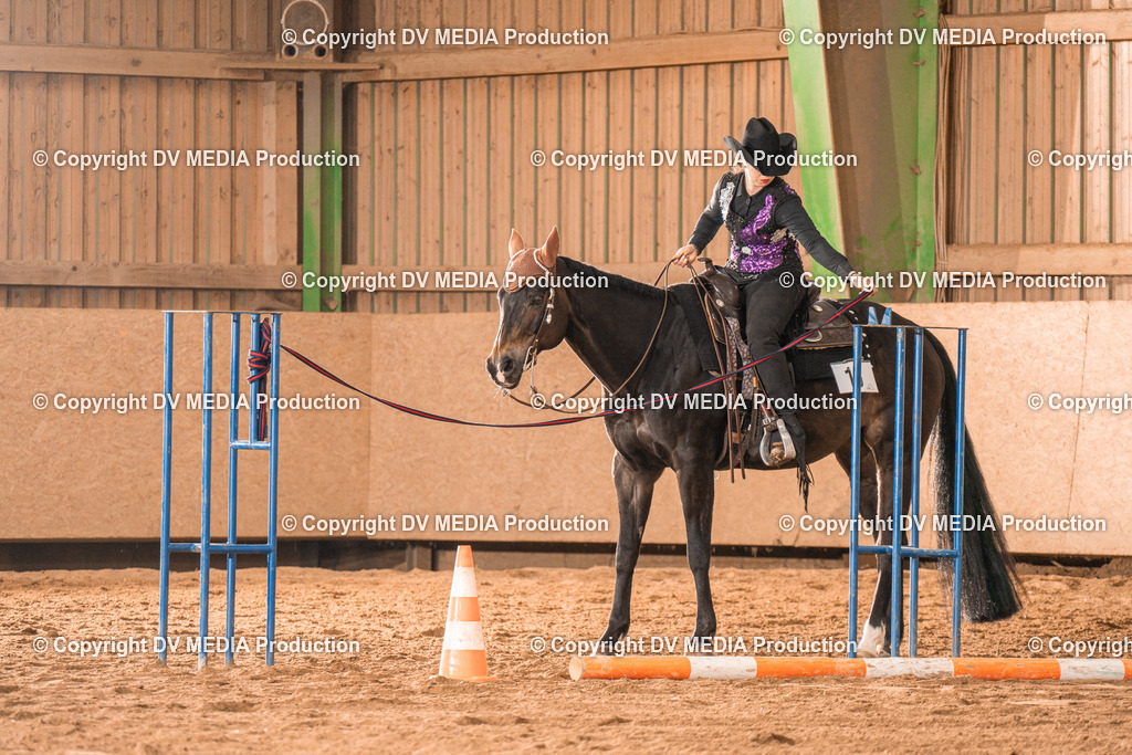 BA300418 | dv-media-shop - Realisiert mit Pictrs.com