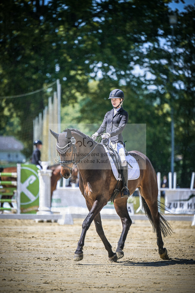 DOS_8235 | Entdecke hochwertige Reitturnierfotos von Foto Oger. Professionell, emotional und authentisch – jetzt Lieblingsmomente im Shop bestellen.Deutschlandweite Turnierfotografie. - Realisiert mit Pictrs.com
