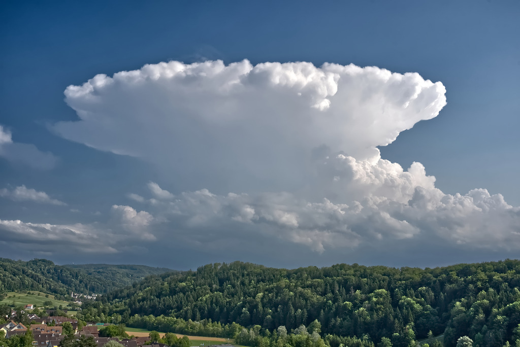 DSC08896_filter | In diesem Shop werden vorwiegend künstlerisch hochstehende Aufnahmen aus dem Bereich der Naturfotografie zum Verkauf angeboten. - In this store mainly artistic high quality shots from the field of nature photography are offered for sale. - Realisiert mit Pictrs.com