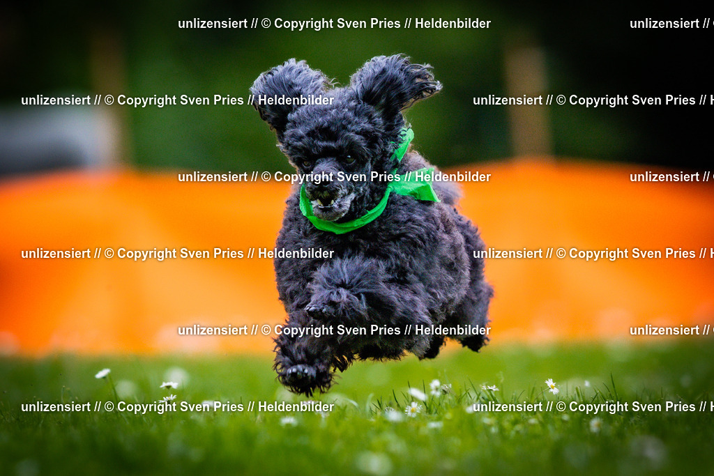 Sven Pries | 2025-05-29 - Pudelrennen KA-Durlach - Realisiert mit Pictrs.com