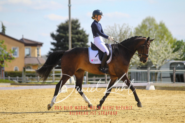 DKP43214 | Turniersportfotografie; Pferdefotografie; Dressurfotografie