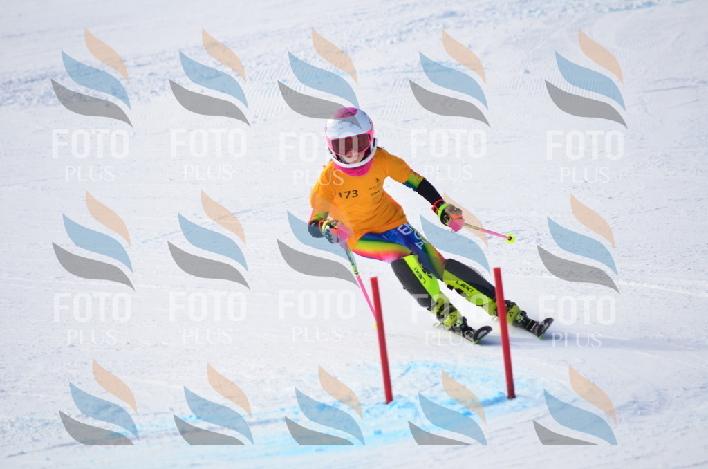 C7921 | holidayphoto