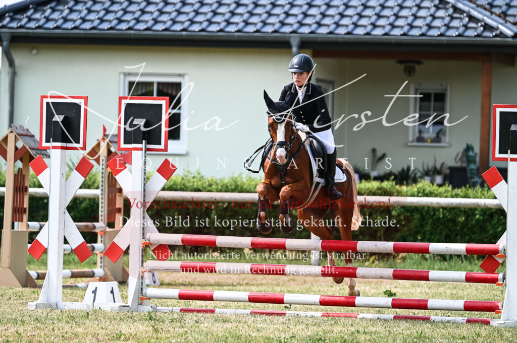 DSC_8715 | Pferde- und Turnierfotografie in Westsachsen. Pferdeportraits, Auftragszeichnungen und intuitive Kunst.