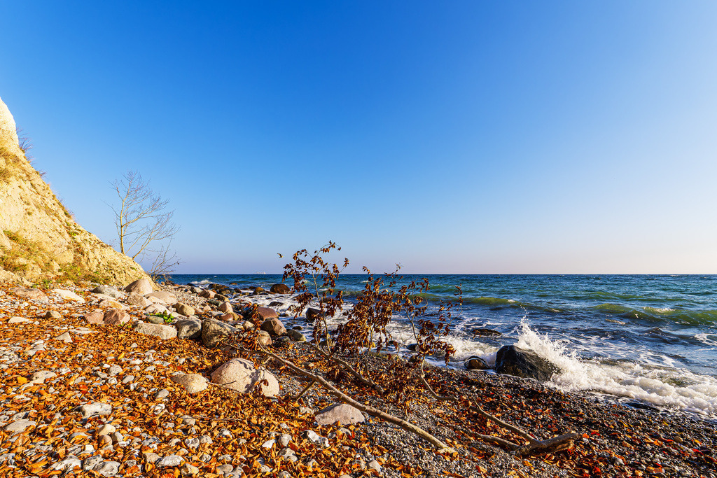 Landschaft im Herbst an der Küste der Ostsee auf der Insel Rügen | Landschaft im Herbst an der Küste der Ostsee auf der Insel Rügen.