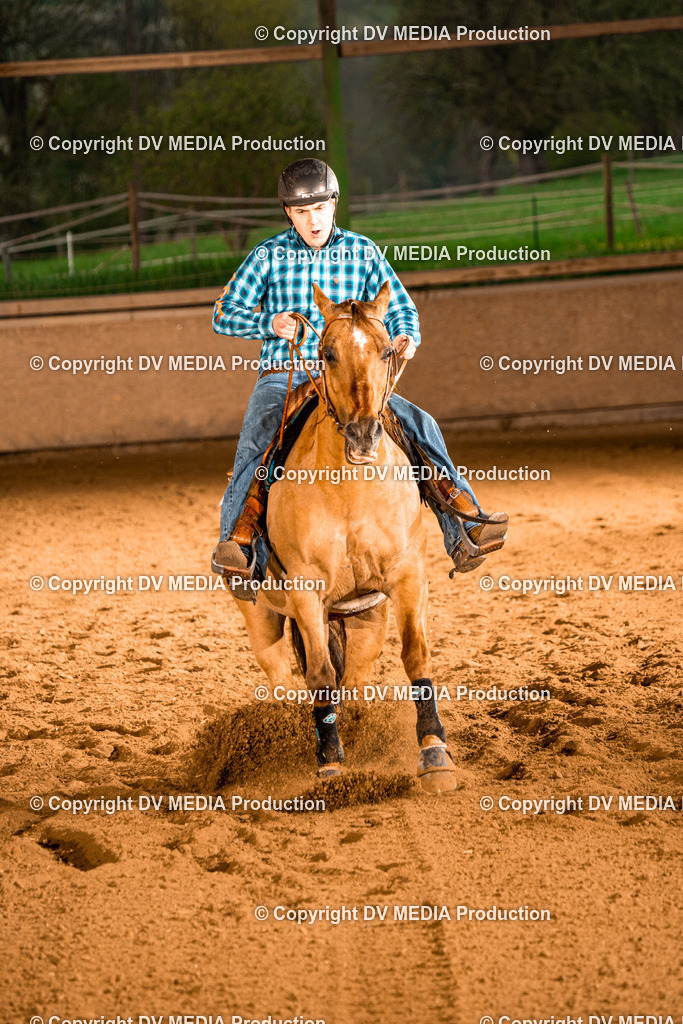 BAL01121 | dv-media-shop - Realisiert mit Pictrs.com