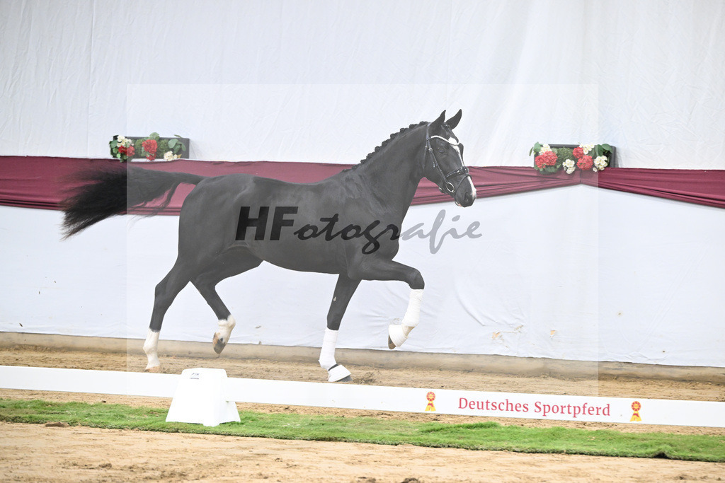 Kat-Nr. 59 Bloomberg x Gribaldi_T. _Stefan Schumacher_47252211 | hf-fotografie - Realisiert mit Pictrs.com