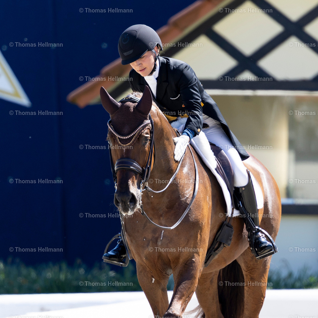 TH_580-Life Time FRH_ Schürmann_ Charlott-Maria_28368 | Horses &amp; Dreams 2025 am 27.04.25 in Hagen a.T.W., Thomas Hellmann, 580Life Time FRH, Schürmann, Charlott-Maria