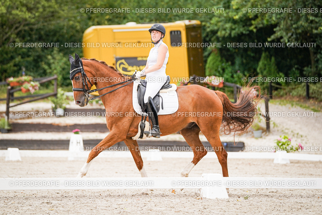 DSC08540 | Pferdegrafie