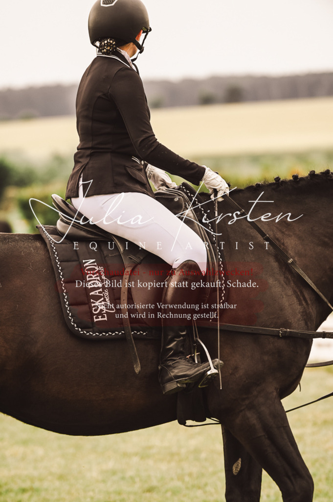 DSC_4948 | Pferde- und Turnierfotografie in Westsachsen. Pferdeportraits, Auftragszeichnungen und intuitive Kunst.