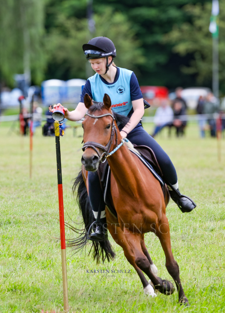 1B3A0039 | Reitsport Reiten