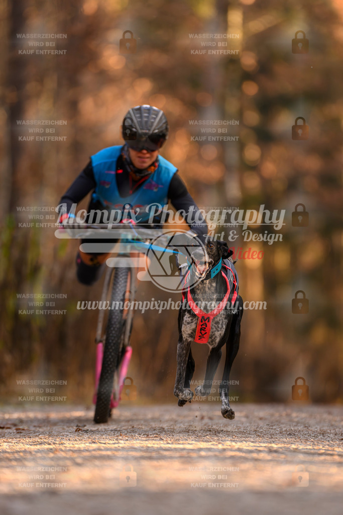 MompixPhotography_DM_AKDM_SO_2025_Scooter-140 | PayLife