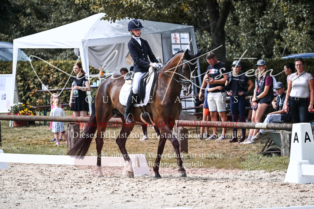 DSC_5212 | Pferde- und Turnierfotografie in Westsachsen. Pferdeportraits, Auftragszeichnungen und intuitive Kunst.