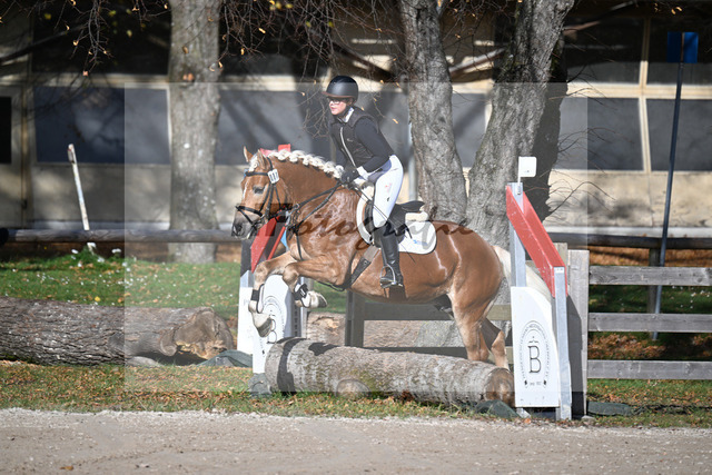 Kat-Nr. 1 Andiamore PBS v. Amore Mio_Schauermann_43250540 | hf-fotografie - Realized with Pictrs.com