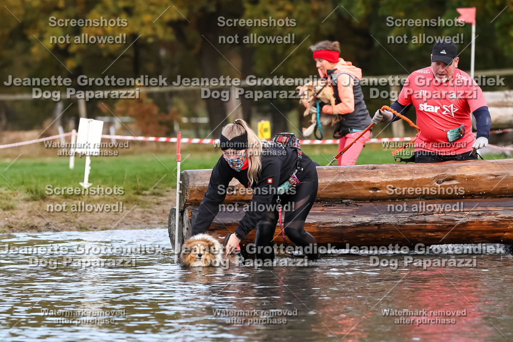 Dog Paparazzi - Strongdog 10-25-6835 | Dog Paparazzi Jeanette Grottendiek Fotografie & Videografie - Realisiert mit Pictrs.com