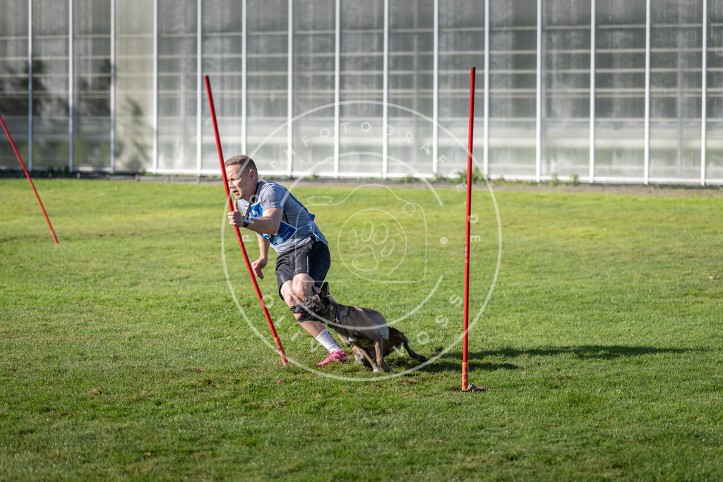 Pfotenfotografie.de_DV3A3440 | Hundefotografie, Tierfotograf, Pfotenfotografie, Fotoshooting Hund, Hunde Portrait, Hundesport, Hundeportraits, Heideshooting, Hunde, Sportfotograf, Hundefotograf, Turnierhundsport, THS, canicross - Realisiert mit Pictrs.com