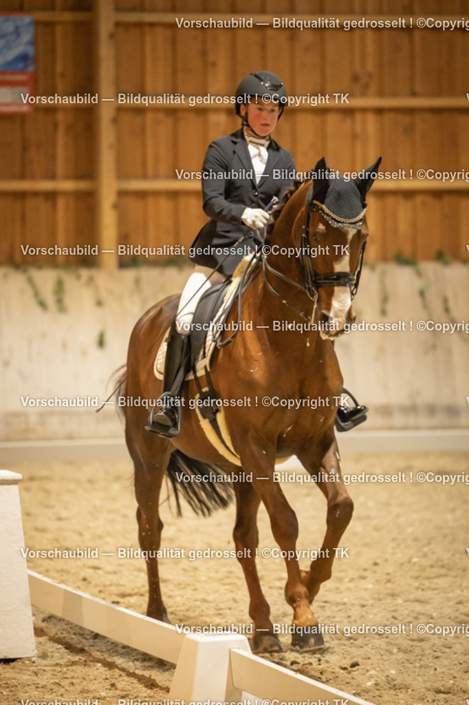 _D5A4265 | Emotionale Pferde- & People-Fotografie rund um Heidelberg, Leimen & Umgebung. Natürliche Fotos von Pferd, Mensch & Familie. Jetzt Termin sichern!