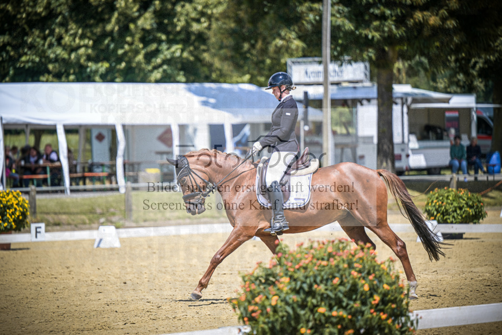 DOS_5340 | Entdecke hochwertige Reitturnierfotos von Foto Oger. Professionell, emotional und authentisch – jetzt Lieblingsmomente im Shop bestellen.Deutschlandweite Turnierfotografie. - Realisiert mit Pictrs.com