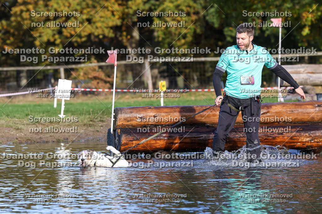 Dog Paparazzi - Strongdog 10-25-8627 | Dog Paparazzi Jeanette Grottendiek Fotografie & Videografie - Realisiert mit Pictrs.com