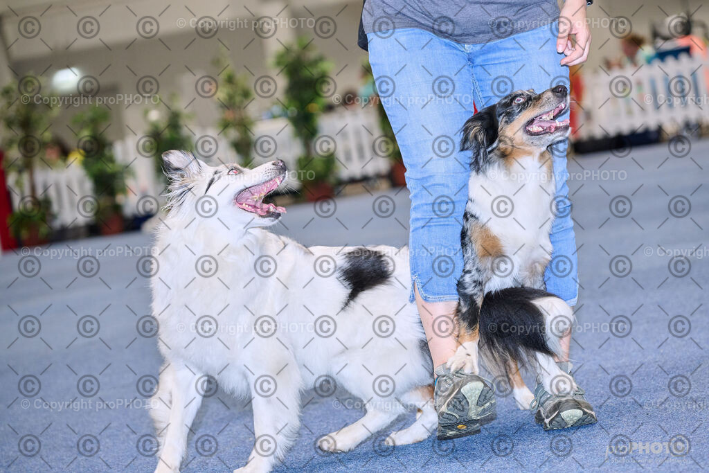 202406_ÖKV-IHA-Tulln24_NZ9_7721 | proPHOTO - Realisiert mit Pictrs.com