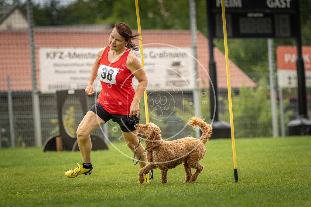 Pfotenfotografie_DV3A2800 | Hundefotografie, Tierfotograf, Pfotenfotografie, Fotoshooting Hund, Hunde Portrait, Hundesport, Hundeportraits, Heideshooting, Hunde, Sportfotograf, Hundefotograf, Turnierhundsport, THS,  - Realisiert mit Pictrs.com