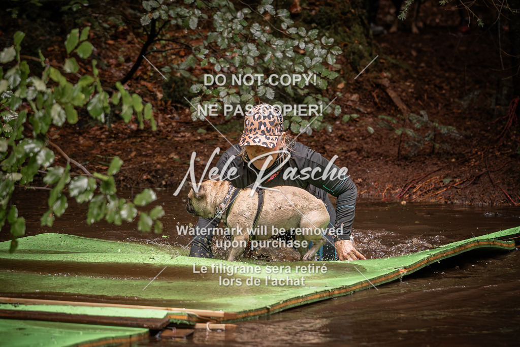 nelerasche_Wingst_Sa1330-1400_106 | nelerasche