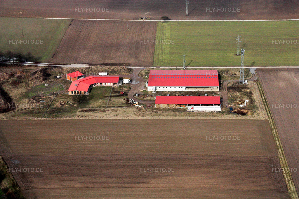 Luftbild: Aussiedlerhof in Erlenbach bei Kandel im Bundesland Rheinland-Pfalz in Deutschland. Foto: IMG_16814.jpg vom 15.02.2009 durch Werner Riehm/FLY-FOTO.de