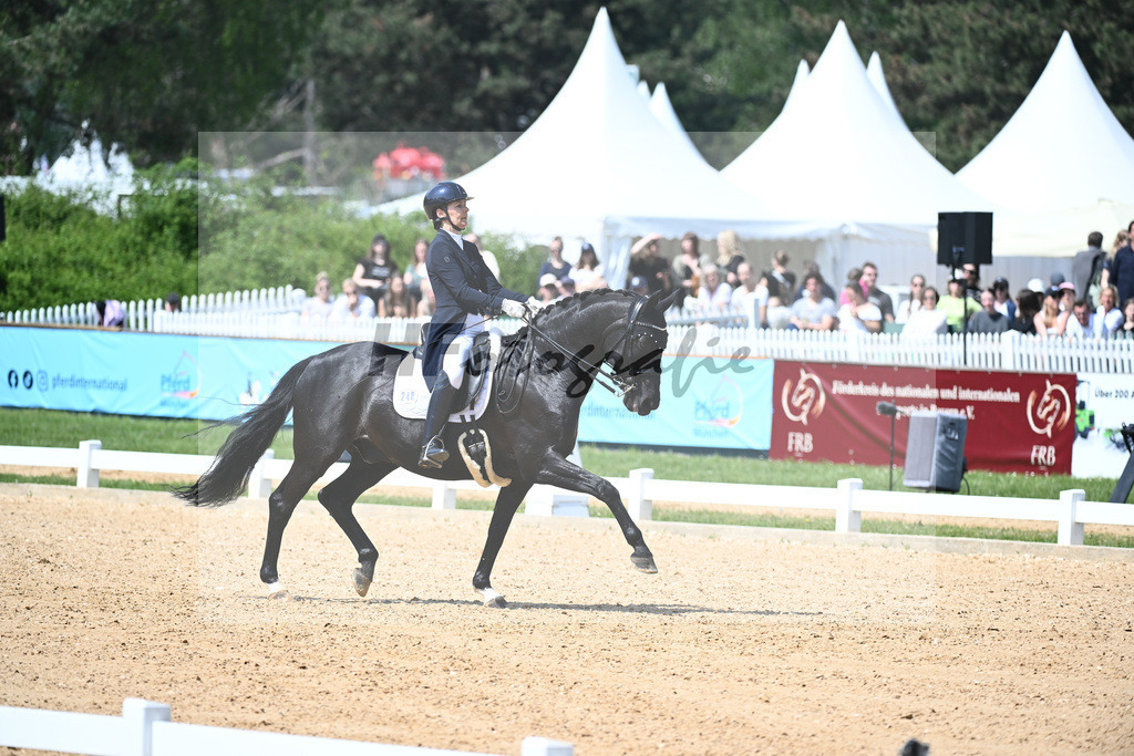 Borgmann-Reuter_Sanrico_12243675 | hf-fotografie - Realisiert mit Pictrs.com