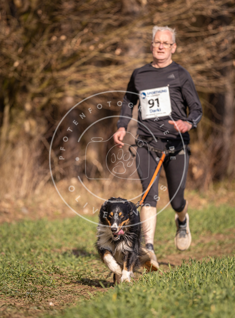 DV3A6324 | Hundefotografie, Tierfotograf, Pfotenfotografie, Fotoshooting Hund, Hunde Portrait, Hundesport, Hundeportraits, Heideshooting, Hunde, Sportfotograf, Hundefotograf, Turnierhundsport, THS,  - Realisiert mit Pictrs.com