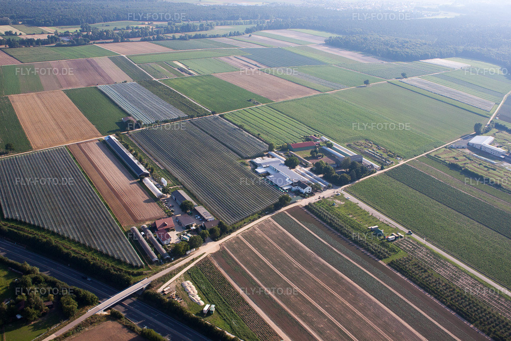 Luftbild: Obsthof Zapf und Hofcafé und Uwe Nauerth - Tabak Produktion im Holderbühler Hof und in Kandel im Bundesland Rheinland-Pfalz in Deutschland. Foto: IMG_70336.jpg vom 19.07.2014 durch Werner Riehm/FLY-FOTO.deHofmarkt Zapf Kandel