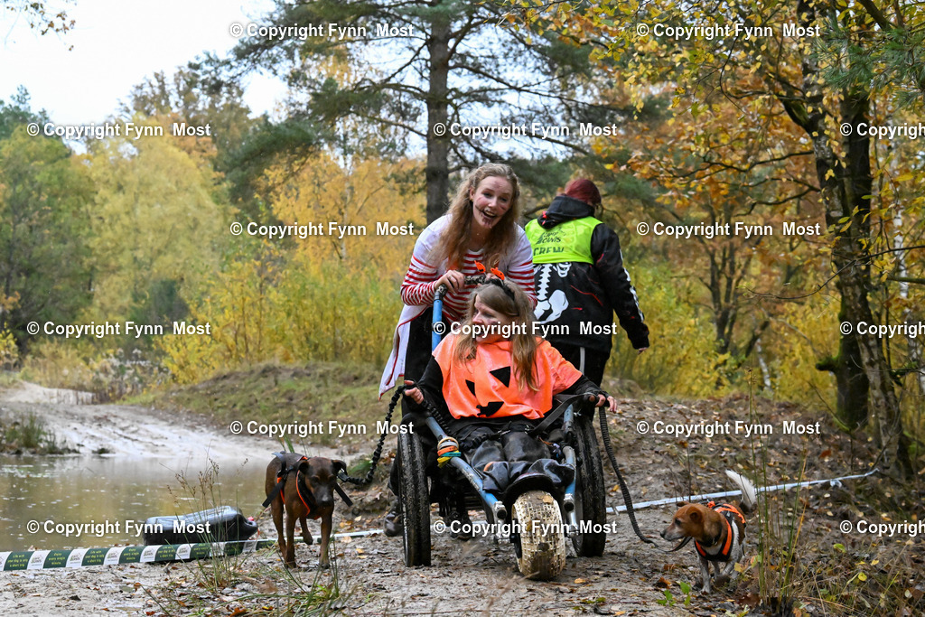 DSC_7053 | Hallo und herzlich Willkommen auf meiner Shop-Seite Fynn Most.

Ich wünsche Dir viel Spaß beim stöbern durch die Bilder, wenn Du Fragen hast oder Bilder vermisst, kannst du mir gerne eine Nachricht schreiben. - Realisiert mit Pictrs.com