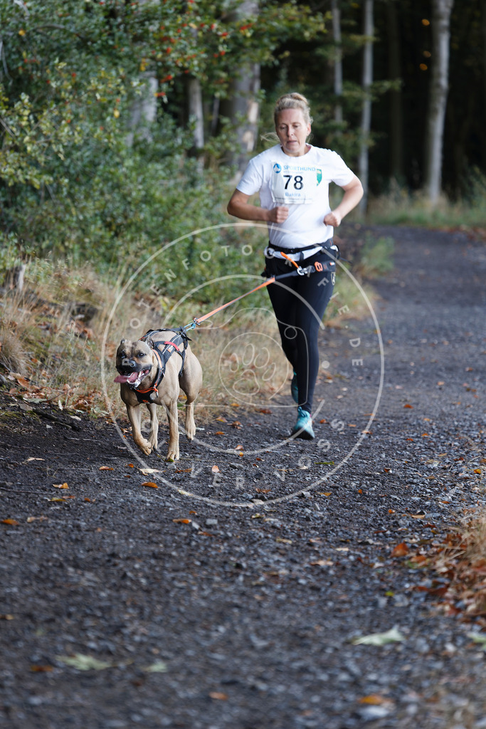 0L8A2045 | Hundefotografie, Tierfotograf, Pfotenfotografie, Fotoshooting Hund, Hunde Portrait, Hundesport, Hundeportraits, Heideshooting, Hunde, Sportfotograf, Hundefotograf, Turnierhundsport, THS,  - Realisiert mit Pictrs.com