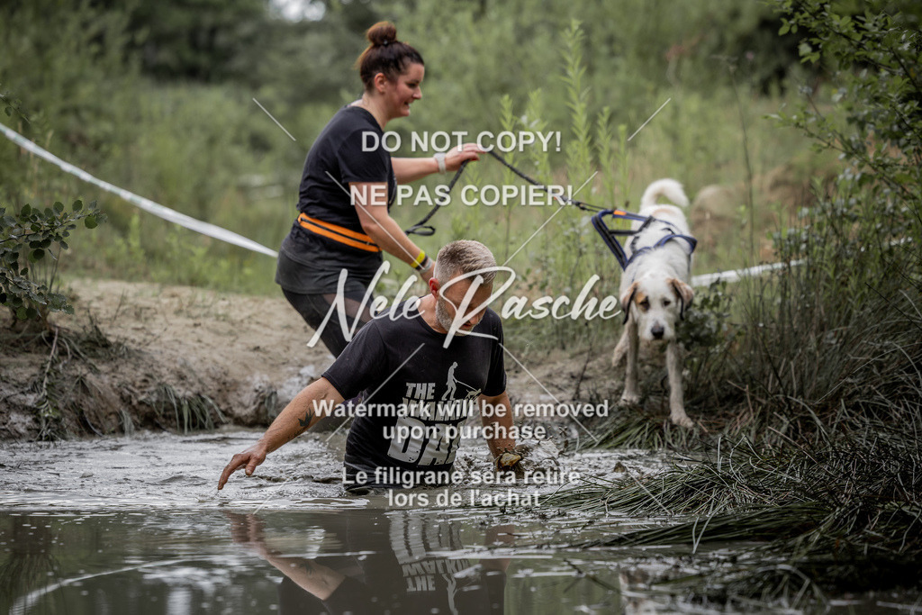 nelerasche_so0800-0930_423 | nelerasche