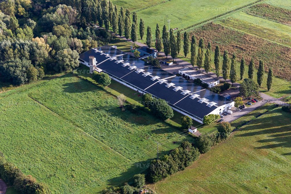 Luftbild: Cactus Druck & Verlags-GmbH im Ortsteil Schaidt in Wörth im Bundesland Rheinland-Pfalz in Deutschland. Foto: IMG_129731.jpg vom 30.09.2021 durch Werner Riehm/FLY-FOTO.de