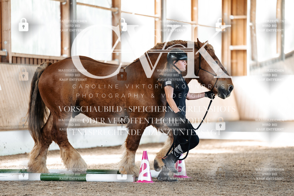 CK906342 | Turnierfotografie Pferdefotografie Trier Rheinland-Pfalz Pferdesport Reitsport Tierfotografie Sportfotografie Pferdevideo Pferdevideografie Equestrianvideography equestrianphotography  - Realisiert mit Pictrs.com