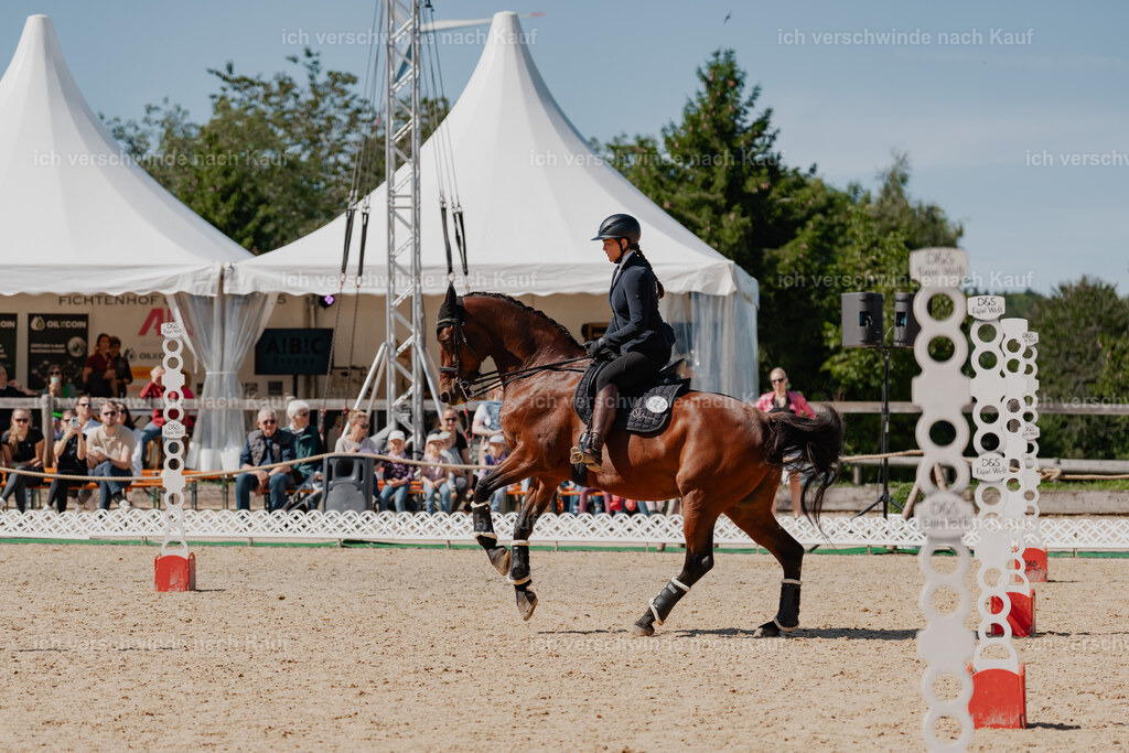 Nadine22_FHC2025-63 | working equitationturnier fotograf videograf stoibphotography marixx film working equitation deutschland reitsport turnierfotografie eventfotografie equestrian events