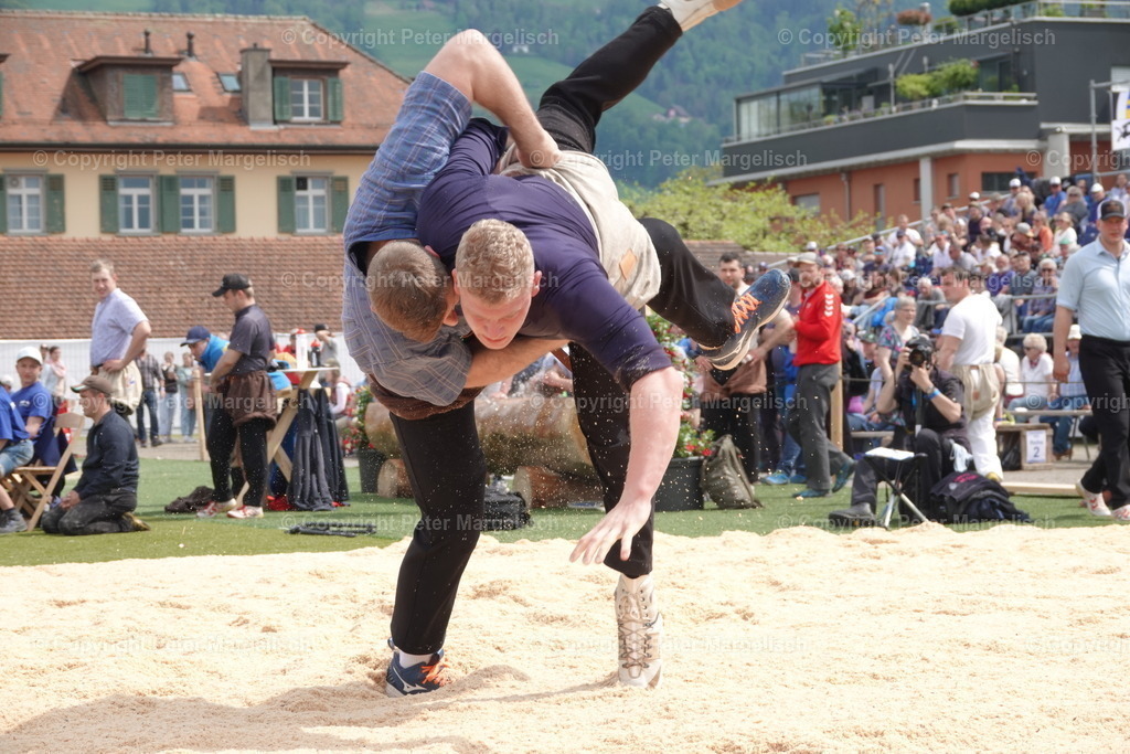 DSC03689 | Schwingen - Realisiert mit Pictrs.com
