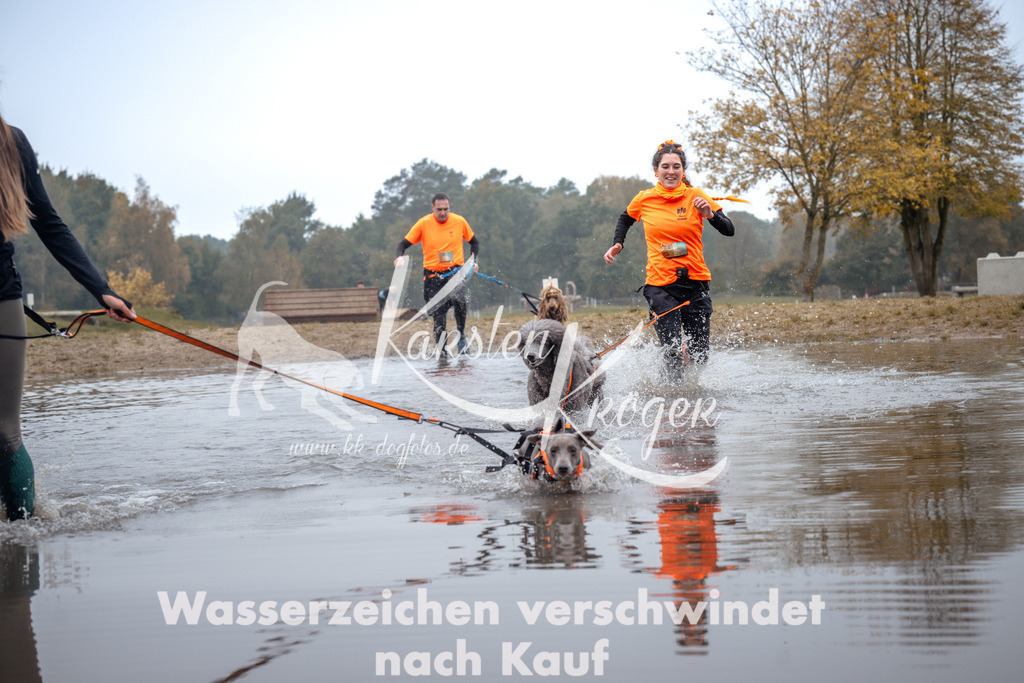 1102_ZZ92544 | kk-dogfotos