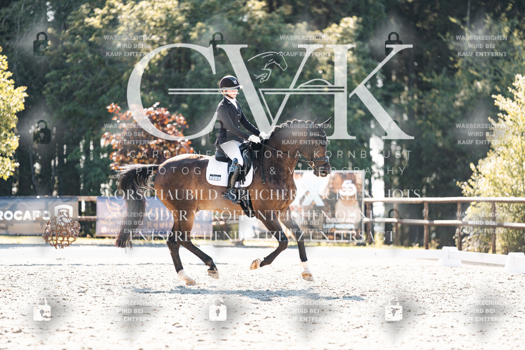 CK905971 | Turnierfotografie Pferdefotografie Trier Rheinland-Pfalz Pferdesport Reitsport Tierfotografie Sportfotografie Pferdevideo Pferdevideografie Equestrianvideography equestrianphotography  - Realisiert mit Pictrs.com