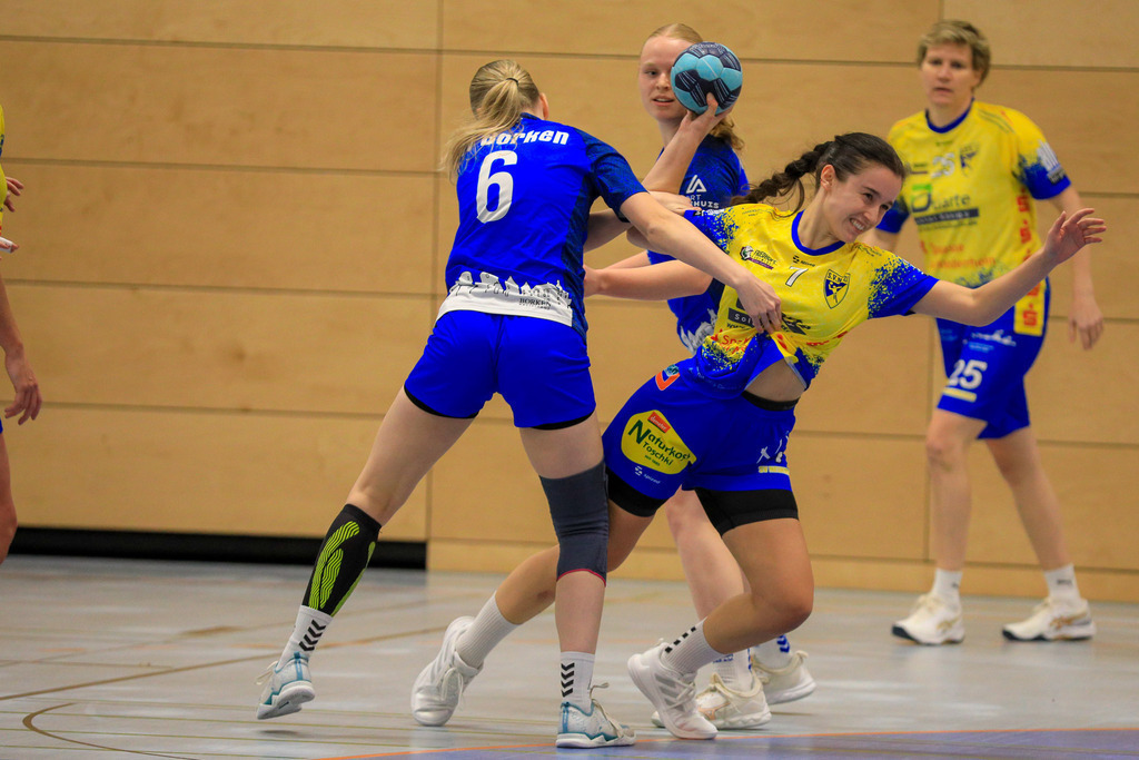 TvBorkenIII_SVN_161125_212 | Bildergalerie von Sport-Ereignissen aber auch von weiteren spannenden Dingen - nicht nur vom Niederrhein. In Anlehnung an den bekannten Spruch von Hanns Dieter Hüsch heißt das Motto: "Niederrhein ist überall".  - Realisiert mit Pictrs.com