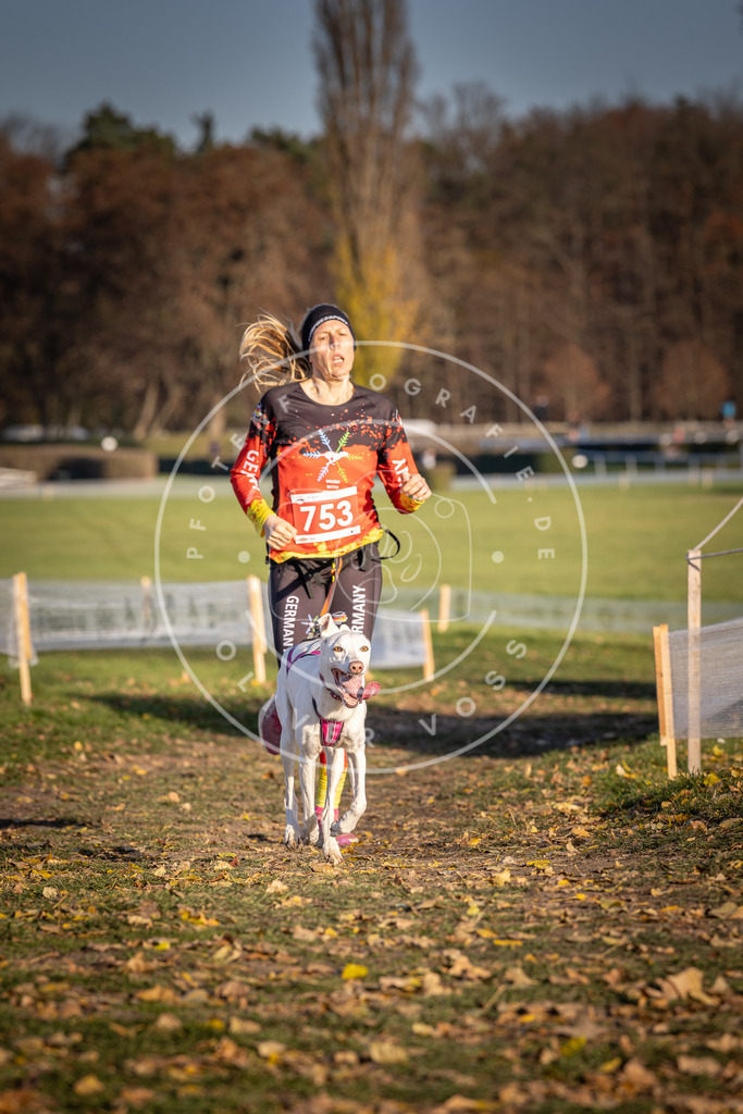 CaniXpix_DV3A2495 | Hundefotografie, Tierfotograf, Pfotenfotografie, Fotoshooting Hund, Hunde Portrait, Hundesport, Hundeportraits, Heideshooting, Hunde, Sportfotograf, Hundefotograf, Turnierhundsport, THS,  - Realisiert mit Pictrs.com